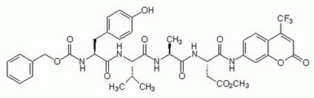 Substrat VI kaspazy-1, fluorogeniczny Fluorogenic caspase-1 substrate.