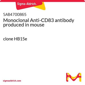 Monoclonal Anti-CD83 antibody produced in mouse clone HB15e