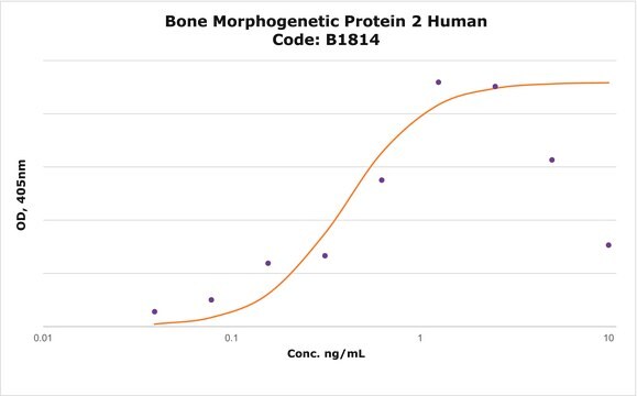 Morphogenetisches Knochenprotein&#160;2 human Carrier Free, &#8805;98% (SDS-PAGE), recombinant, expressed in E. coli, lyophilized powder, suitable for cell culture