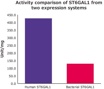 &#946;-ガラクトシド&#945;-2,6-シアリルトランスフェラーゼ1 &#8805;300&#160;units/mg protein, ST6GAL1 human recombinant, expressed in HEK 293 cells