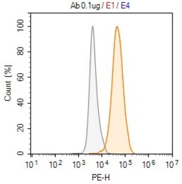 Anti-APOA1 Antibody, clone 2N13 ZooMAb&#174; Rabbit Monoclonal recombinant, expressed in HEK 293 cells