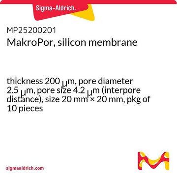 MakroPor, silicon membrane thickness 200&#160;&#956;m, pore diameter 2.5&#160;&#956;m, pore size 4.2&#160;&#956;m (interpore distance), size 20&#160;mm × 20&#160;mm, pkg of 10&#160;pieces