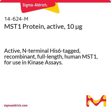 MST1 Protein, active, 10 &#181;g Active, N-terminal His6-tagged, recombinant, full-length, human MST1, for use in Kinase Assays.