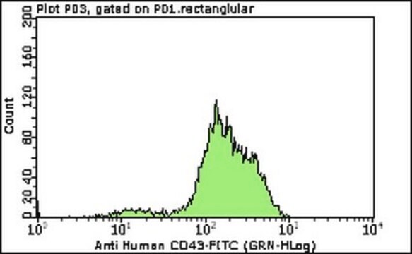 Milli-Mark&#174; Anti-CD43-FITC Antibody, clone DF-T1 clone DF-T1, Milli-Mark&#174;, from mouse