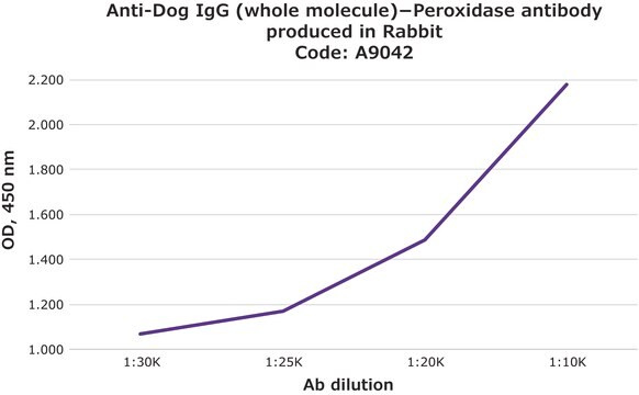 抗-抗狗 IgG（全分子）&#8722; 过氧化物酶 兔抗 IgG fraction of antiserum, buffered aqueous solution