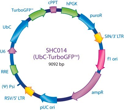 MISSION&#174; 对照载体 Contains a gene encoding TurboGFP, under the control of the UbC promoter