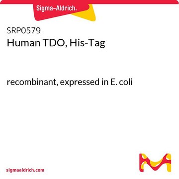 Ludzkie TDO, His-Tag recombinant, expressed in E. coli