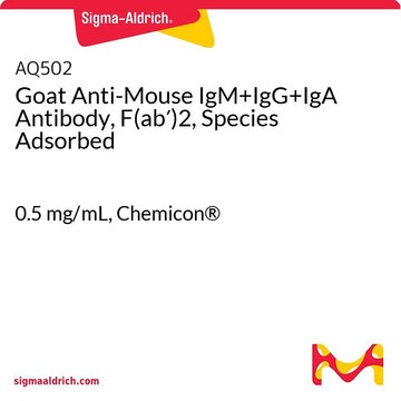 Goat Anti-Mouse IgM+IgG+IgA Antibody, F(ab&#8242;)2, Species Adsorbed 0.5&#160;mg/mL, Chemicon&#174;