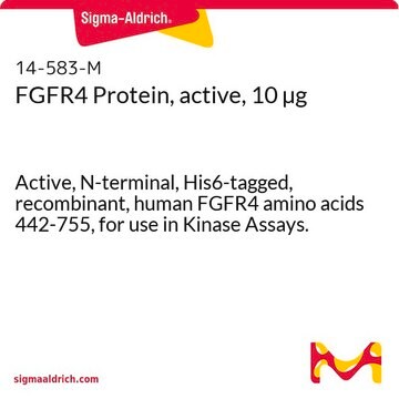 FGFR4 Protein, active, 10 &#181;g Active, N-terminal, His6-tagged, recombinant, human FGFR4 amino acids 442-755, for use in Kinase Assays.