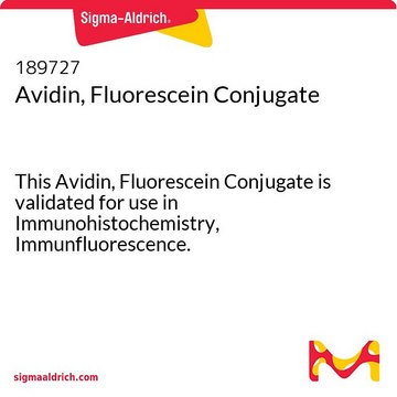 亲和素，荧光素结合物 This Avidin, Fluorescein Conjugate is validated for use in Immunohistochemistry, Immunfluorescence.