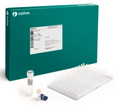 RTG GenomiPhi&#8482; V3 DNA Amplification Kit, 24 RXN Cytiva 25-6601-24, sufficient for 24&#160;reactions