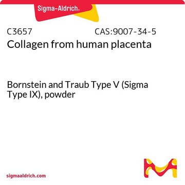 Colágeno Bornstein and Traub Type V (Sigma Type IX), powder