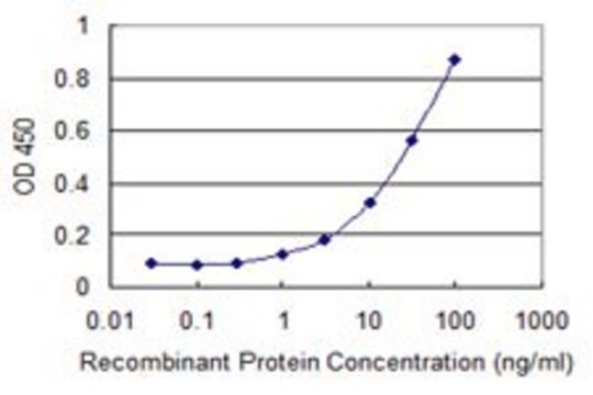 Monoclonal Anti-SPG21 antibody produced in mouse clone 2B11, purified immunoglobulin, buffered aqueous solution