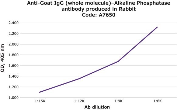 抗ヤギIgG (全分子)-アルカリフォスファターゼ ウサギ宿主抗体 affinity isolated antibody, buffered aqueous solution