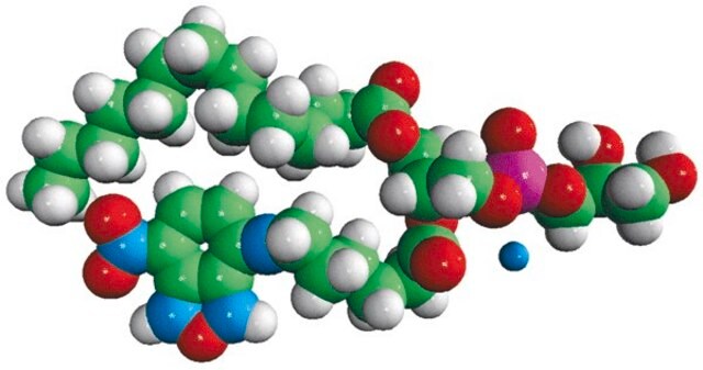 14:0-06:0 NBD PG Avanti Research&#8482; - A Croda Brand 810161P, powder