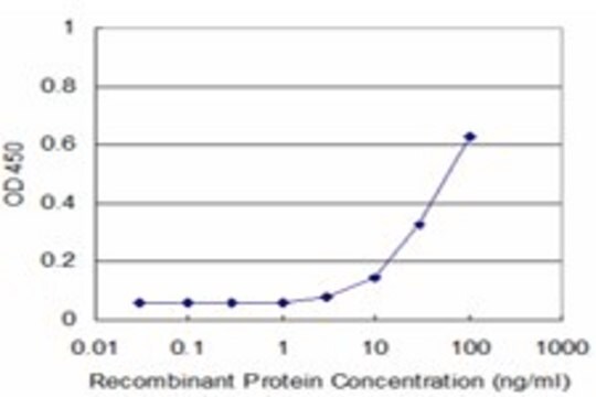 Monoclonal Anti-PCDHA12 antibody produced in mouse clone 1D3, purified immunoglobulin, buffered aqueous solution