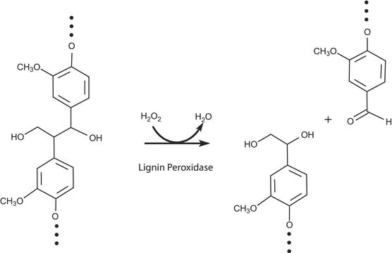 Lignin Peroxidase powder, slightly beige, &gt;0.1&#160;U/mg