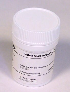 Protein A-Sepharose&#8482; CL-4B Cytiva 17-0780-01, pack of 1.5&#160;g