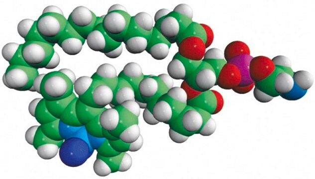 TopFluor&#8482; PE Avanti Research&#8482; - A Croda Brand 810282C