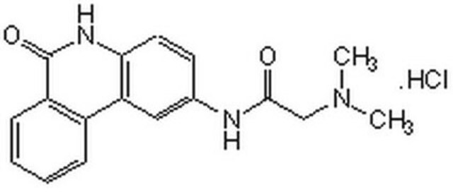 PARP-Inhibitor&nbsp;VIII, PJ34 The PARP Inhibitor VIII, PJ34, also referenced under CAS 344458-15-7, controls the biological activity of PARP. This small molecule/inhibitor is primarily used for Cell Structure applications.