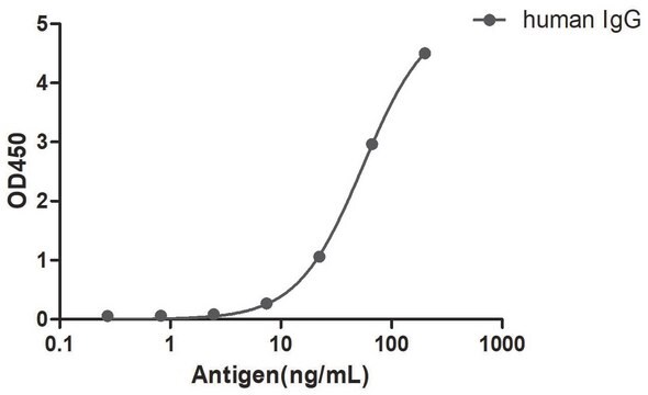 Przeciwciało Alpaca przeciw ludzkiej IgG (Fcγ) z pojedynczą domeną recombinant Alpaca(VHH) Nano antibody