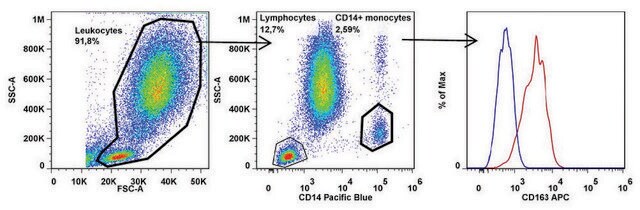 Monoclonal Anti-CD163 antibody produced in mouse clone GHI/61