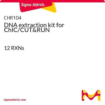 Zestaw do ekstrakcji DNA dla ChIC/CUT&amp;RUN 12 RXNs