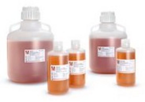 Anti-A (clone BIRMA-1), FFMU Anti-A from the clone BIRMA-1, Murine IgM, Intermediate for further manufacturing use