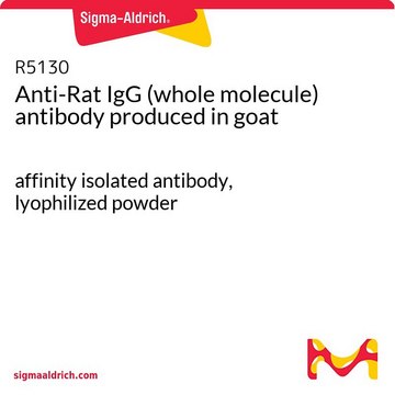 抗ラットIgG (全分子) ヤギ宿主抗体 affinity isolated antibody, lyophilized powder