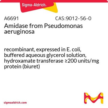 酰胺酶 来源于绿脓假单胞菌 recombinant, expressed in E. coli, buffered aqueous glycerol solution, hydroxamate transferase &#8805;200&#160;units/mg protein (biuret)