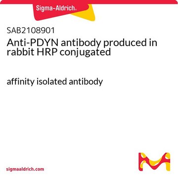 Anti-PDYN antibody produced in rabbit HRP conjugated affinity isolated antibody