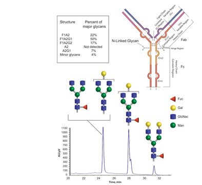 SILu&#8482;Mab Stable Isotope-Labeled Monoclonal Antibody Glycan Standard Mouse IgG2b