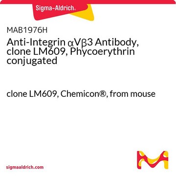 Anticorps anti-intégrine&nbsp;&#945;V&#946;3, clone&nbsp;LM609, conjugué à de la phycoérythrine clone LM609, Chemicon&#174;, from mouse