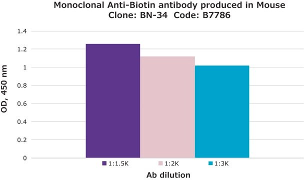 抗-fd 噬菌体 兔抗 IgG fraction of antiserum, buffered aqueous solution