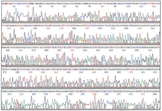 GenElute&#8482; Plasmid Miniprep Kit sufficient for 70&#160;purifications