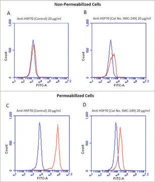 Monoclonal Anti-HSP70-R-Phycoerythrin antibody produced in mouse clone 1H11