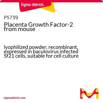 Placenta Growth Factor-2 from mouse lyophilized powder, recombinant, expressed in baculovirus infected Sf21 cells, suitable for cell culture