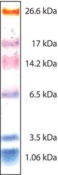 Farbmarker Ultra-niedrige Reichweite (MW 1.060–26.600)