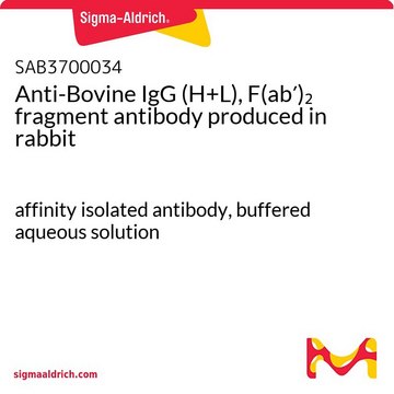 Anti-Bovine IgG (H+L), F(ab&#8242;)2 fragment antibody produced in rabbit affinity isolated antibody, buffered aqueous solution