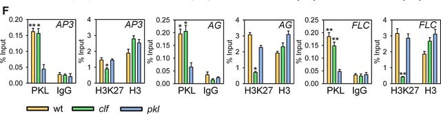 Anticorps anti-triméthyl-histone&nbsp;H3 (Lys27) Upstate&#174;, from rabbit