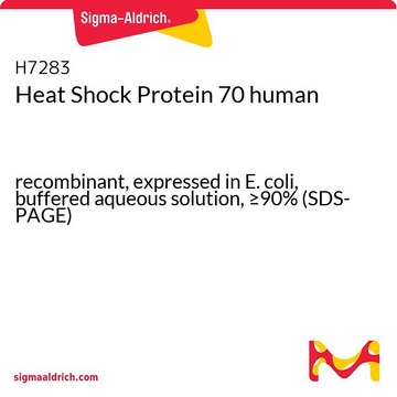 熱ショックタンパク質70 ヒト recombinant, expressed in E. coli, buffered aqueous solution, &#8805;90% (SDS-PAGE)