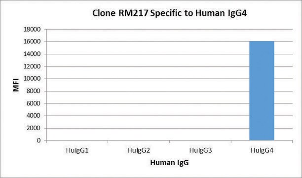 Anti-Human IgG4 Fc-Biotin antibody, Rabbit monoclonal recombinant, expressed in HEK 293 cells, clone RM217, purified immunoglobulin