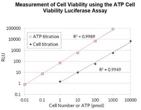 Test ATP de viabilité cellulaire par luciférase A highly sensitive firefly luciferase cell based assay for quantifying ATP in cell cultures used to measure cell viability.