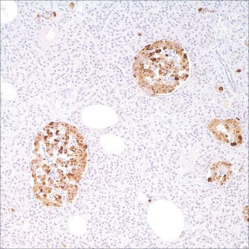 Chromogranin&nbsp;A (LK2H10) Mouse Monoclonal Antibody