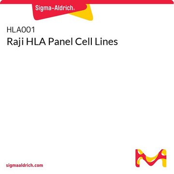 Raji HLA Panel Cell Lines