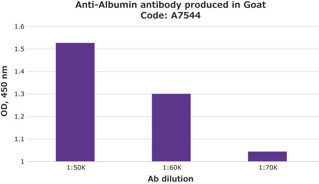 Anticorps anti-albumine antibody produced in goat whole antiserum