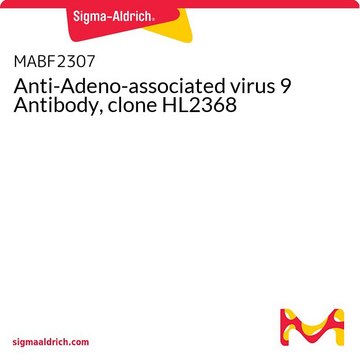 Anti-Adeno-associated virus 9 Antibody, clone HL2368