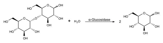 &#945;-Glucosidase aus Saccharomyces cerevisiae Type I, lyophilized powder, &#8805;10&#160;units/mg protein (using p-nitrophenyl &#945;-D-glucoside as substrate.)