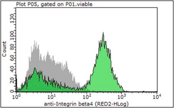 Anti-Integrin B4 Antibody, clone ASC-8, Azide &amp; Ascites Free clone ASC-8, from mouse