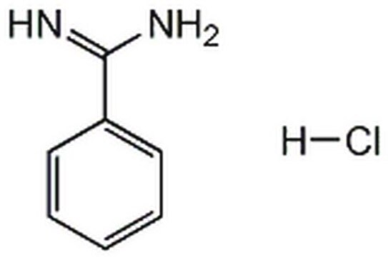 Benzamidine, Hydrochloride Inhibitor of trypsin and trypsin-like enzymes.